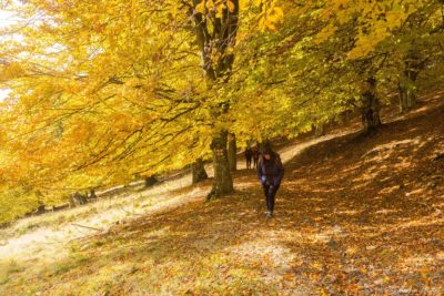 24 400x267 - Spectacular Autumn in Bodoc