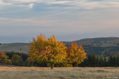 35 400x267 - Spectacular Autumn in Bodoc